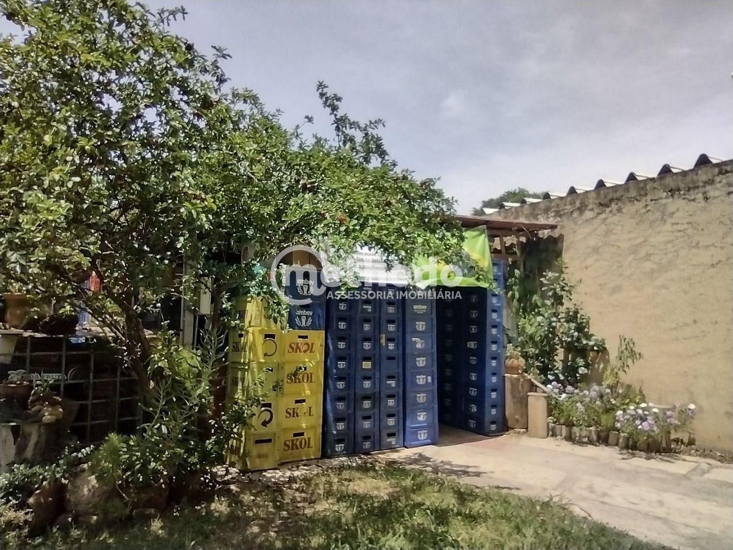 Chácara, 2 quartos, 1254 m² - Foto 38