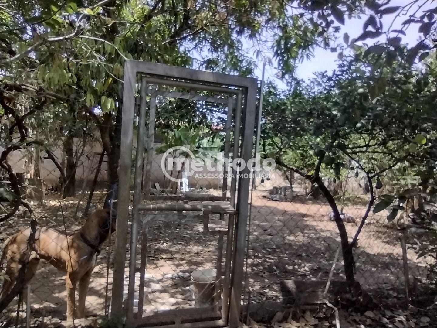 Chácara, 2 quartos, 1254 m² - Foto 39