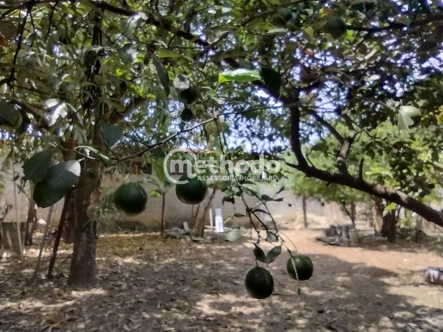 Chácara, 2 quartos, 1254 m² - Foto 40