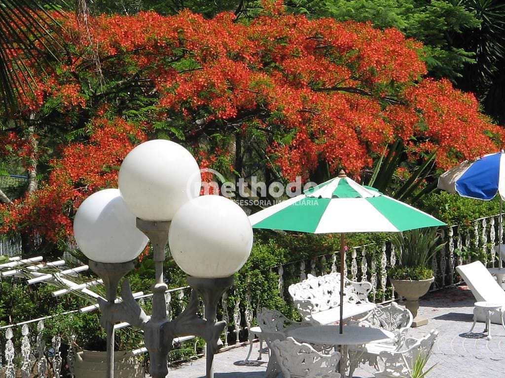 Chácara, 5 quartos, 10000 m² - Foto 30