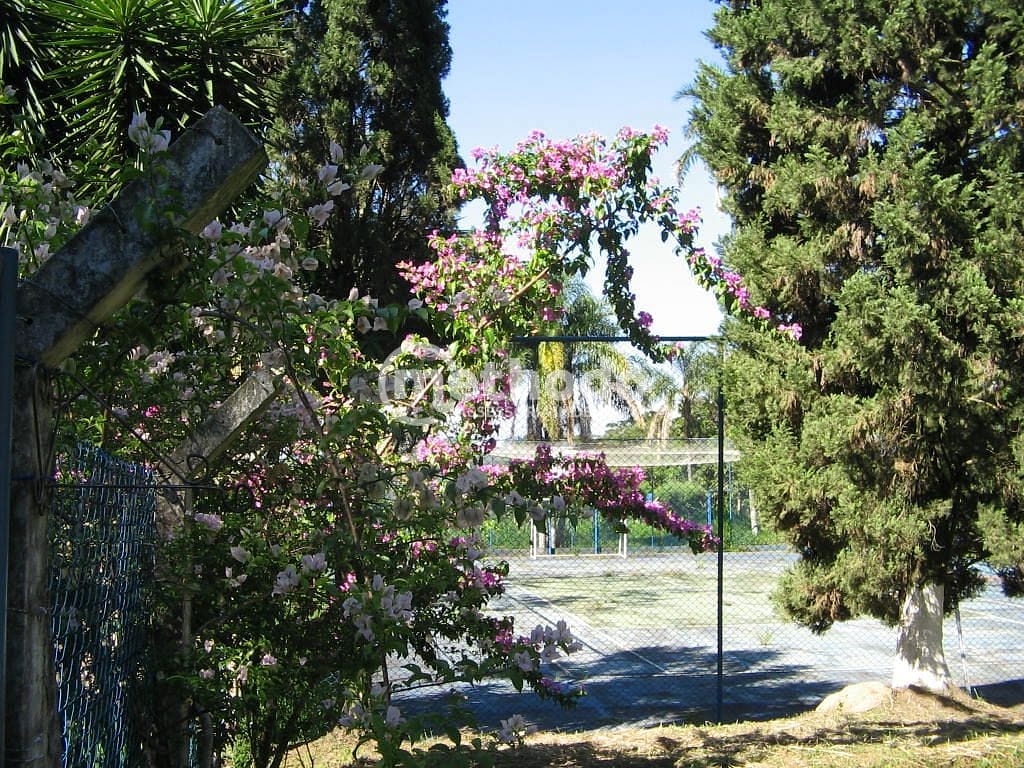 Chácara, 5 quartos, 10000 m² - Foto 36