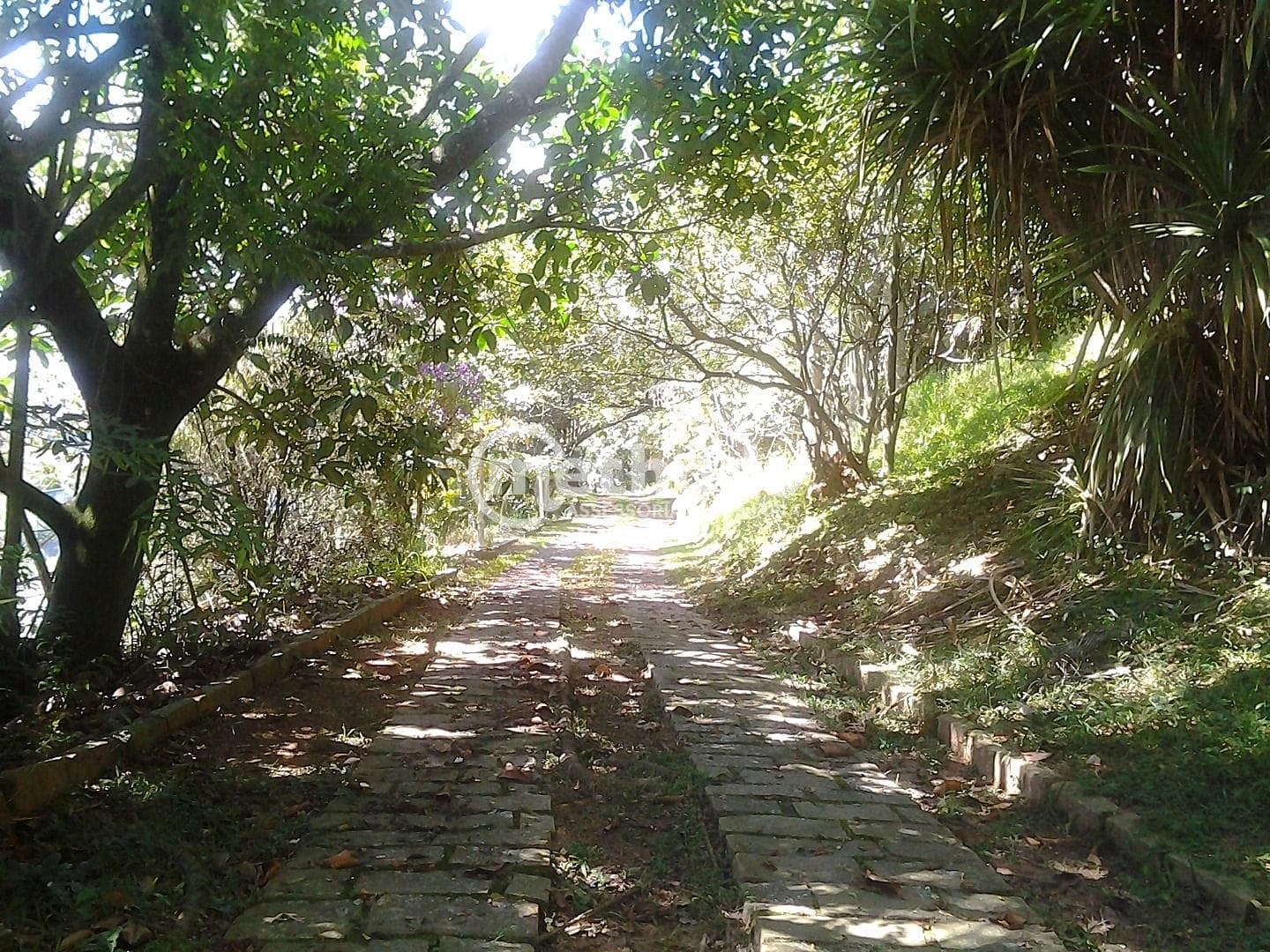 Chácara, 5 quartos, 10000 m² - Foto 23