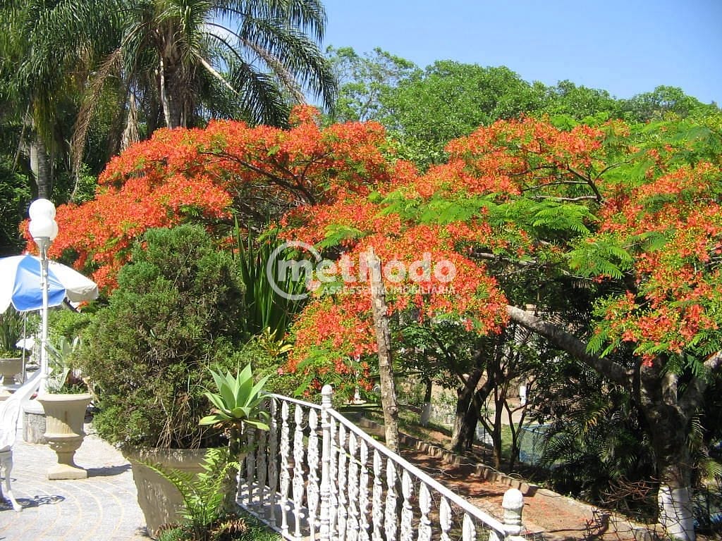 Chácara, 5 quartos, 10000 m² - Foto 26