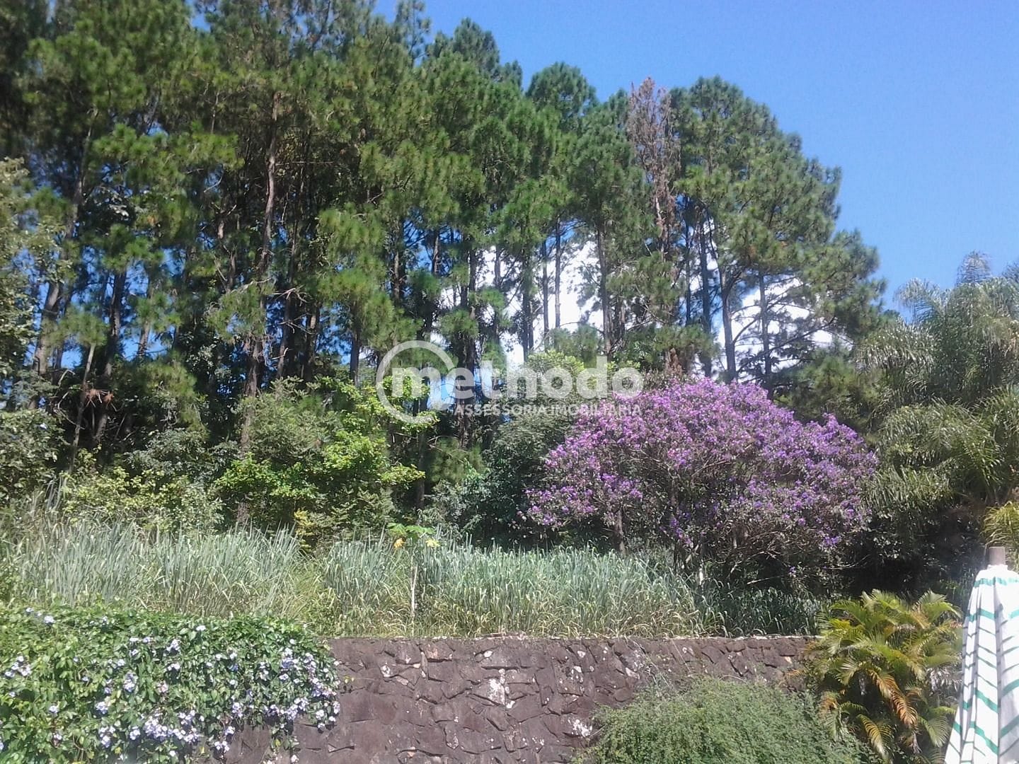 Chácara, 5 quartos, 10000 m² - Foto 24