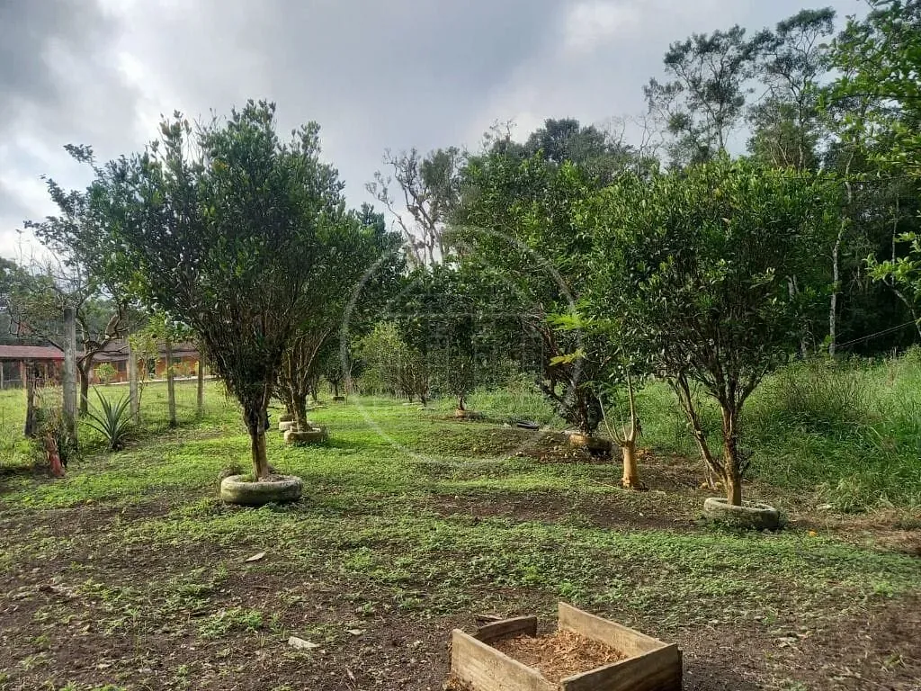 Sítio, 4 quartos, 2 hectares - Foto 19