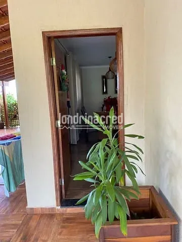 Sítio, 3 quartos, 6000 m² - Foto 18