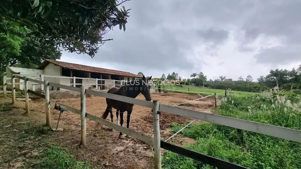 Sítio, 4 quartos, 2 hectares - Foto 47