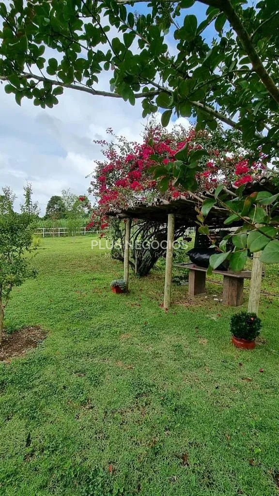 Sítio, 4 quartos, 2 hectares - Foto 40