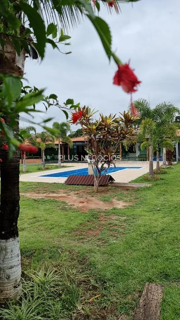 Sítio, 4 quartos, 2 hectares - Foto 1