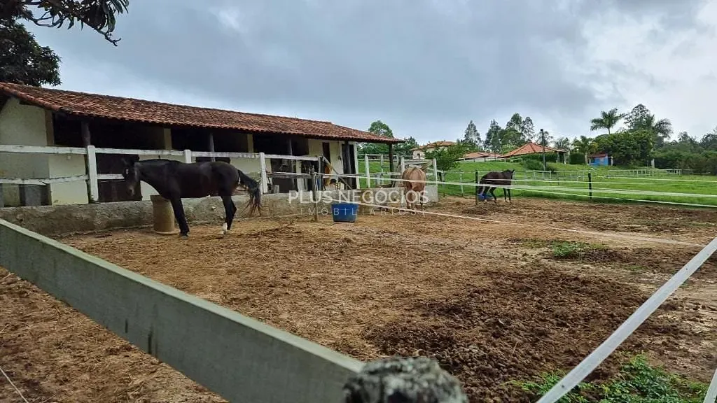 Sítio, 4 quartos, 2 hectares - Foto 43