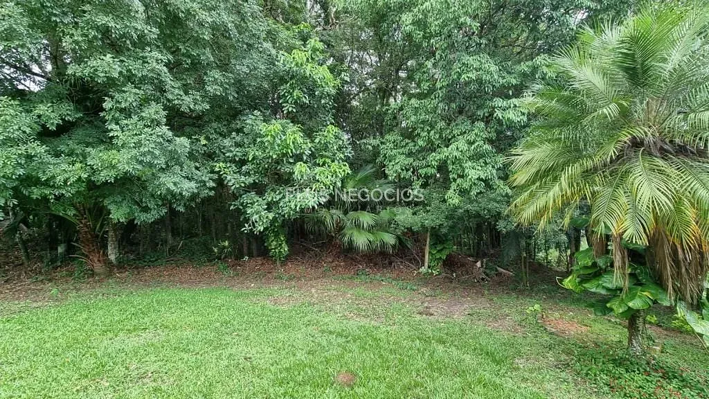 Sítio, 4 quartos, 2 hectares - Foto 38