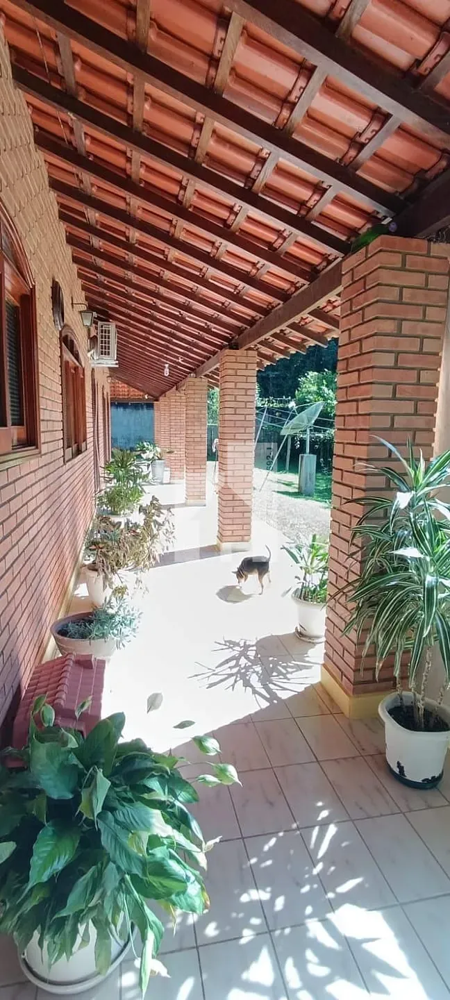 Foto 7