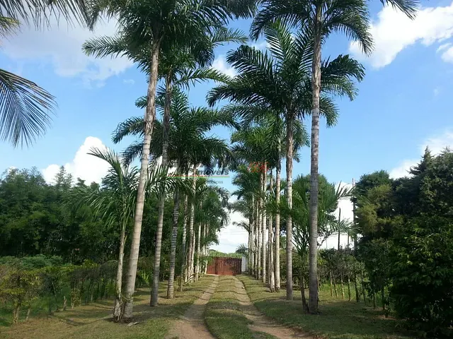 Chácara com 30000m², à venda, no bairro Recanto Campestre Internacional de Viracopos Gleba 9 em Indaiatuba