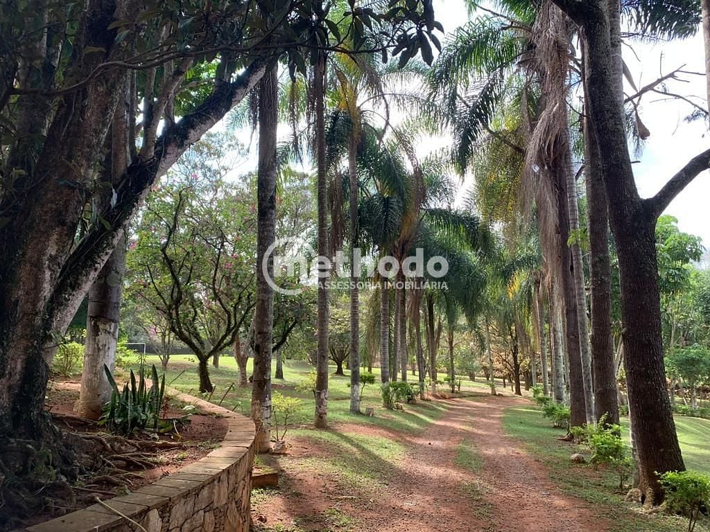 Chácara, 4 quartos, 2 hectares - Foto 10