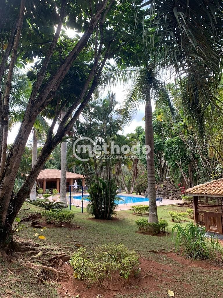 Chácara, 4 quartos, 2 hectares - Foto 22