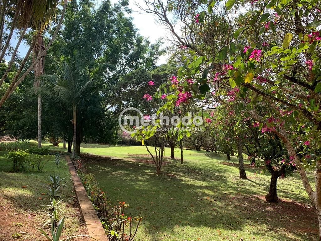 Chácara, 4 quartos, 2 hectares - Foto 13