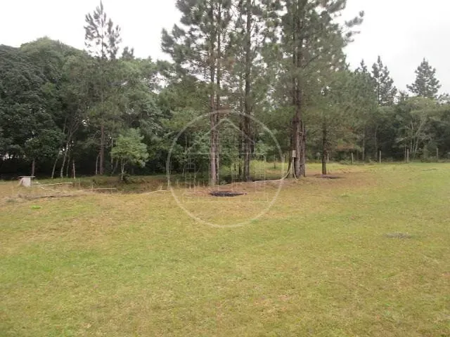 Sítio, 3 quartos, 1 hectares - Foto 18