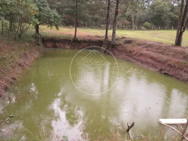 Sítio, 3 quartos, 1 hectares - Foto 16