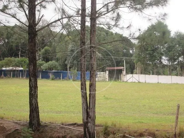 Sítio, 3 quartos, 1 hectares - Foto 14