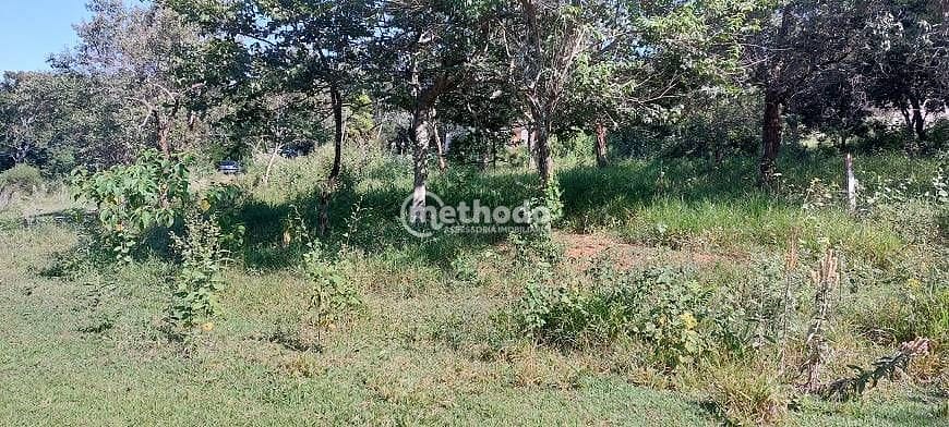 Sítio, 2 quartos, 7 hectares - Foto 13