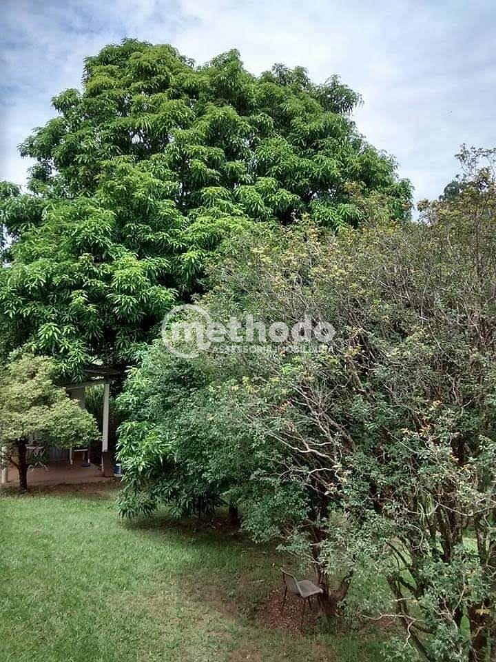 Chácara, 1 quarto, 2000 m² - Foto 13