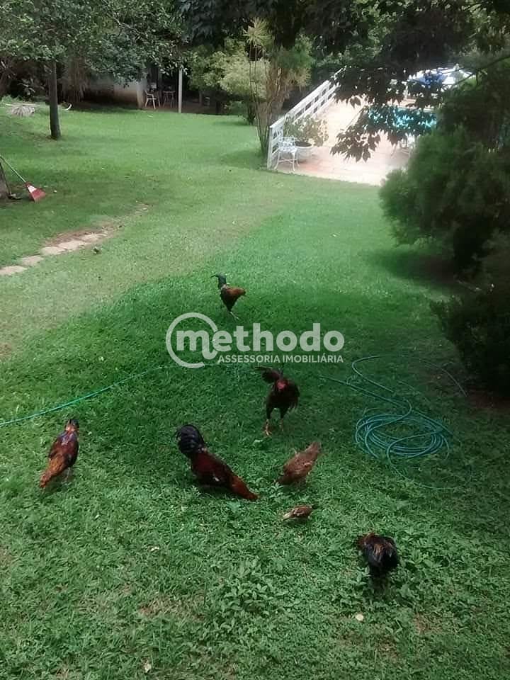 Chácara, 1 quarto, 2000 m² - Foto 10