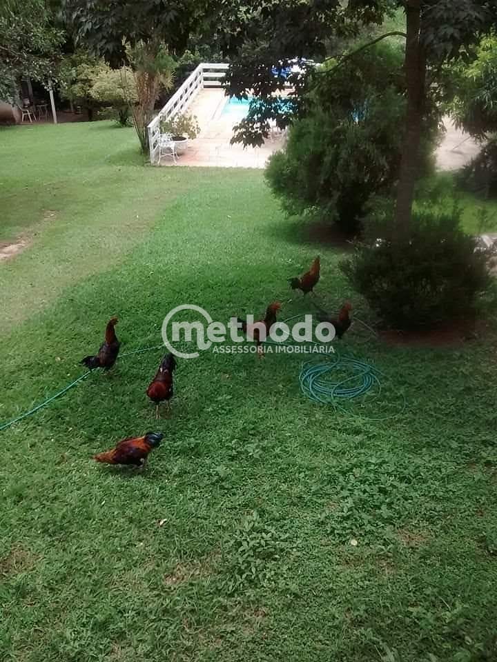 Chácara, 1 quarto, 2000 m² - Foto 11