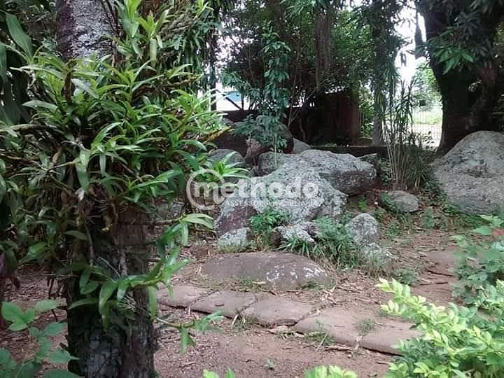 Chácara, 1 quarto, 2000 m² - Foto 15