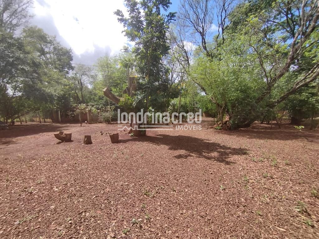 Sítio, 1 quarto, 5220 m² - Foto 4