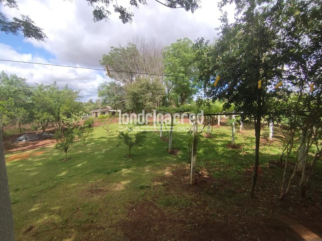 Sítio, 1 quarto, 5220 m² - Foto 5