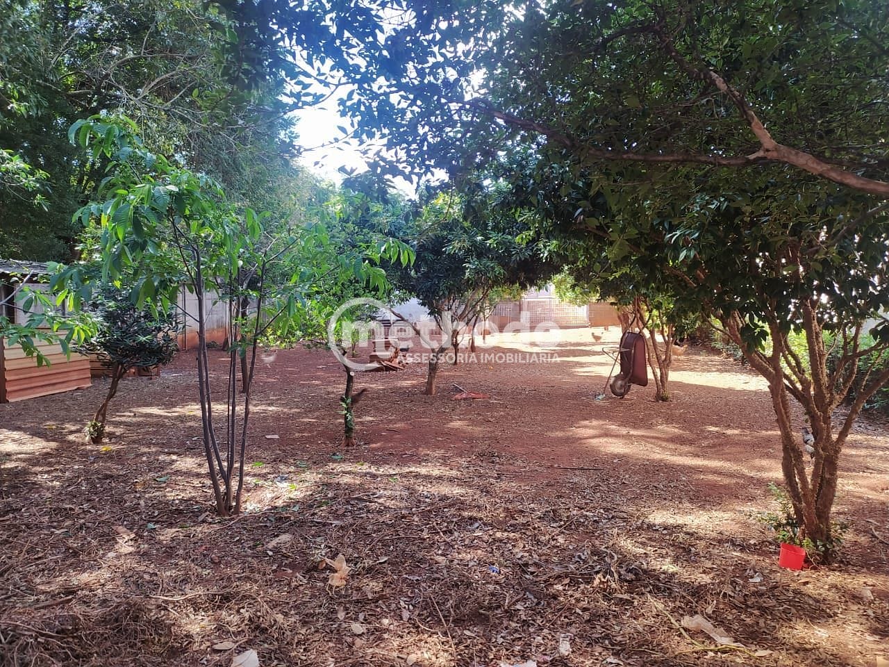 Chácara, 5 quartos, 3000 m² - Foto 14