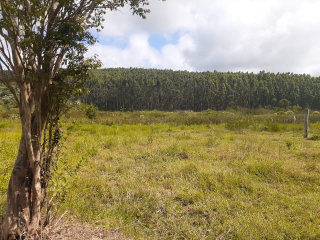 Chácara com 1700000m², à venda, no bairro Centro em São Luiz Do Paraitinga