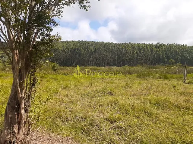 Chácara com 1700000m², à venda, no bairro Centro em São Luiz Do Paraitinga