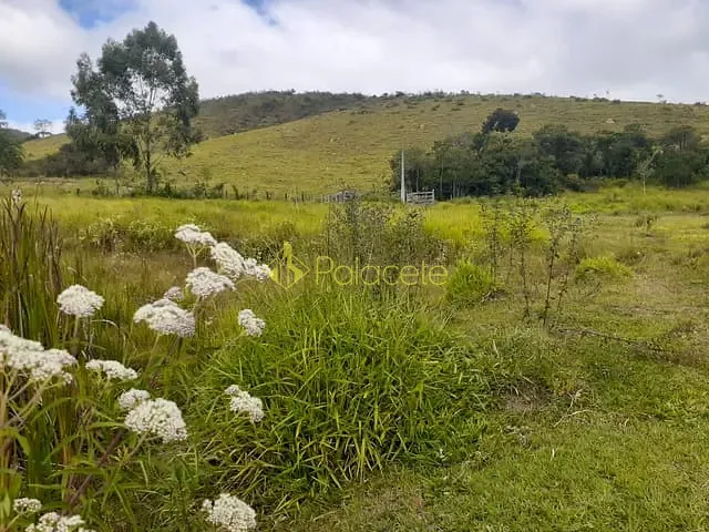 Chácara com 1700000m², à venda, no bairro Centro em São Luiz Do Paraitinga