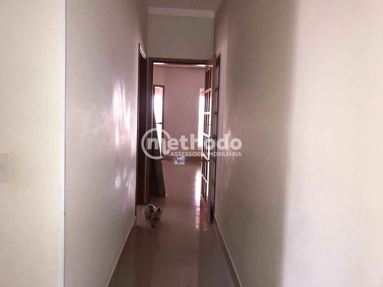 Chácara, 4 quartos, 1000 m² - Foto 7