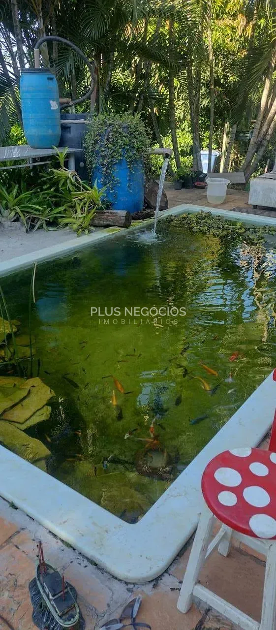 Chácara, 3 quartos, 10 m² - Foto 12