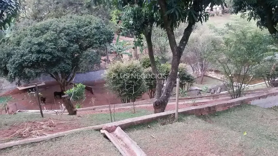 Chácara, 5 quartos, 2400 m² - Foto 10
