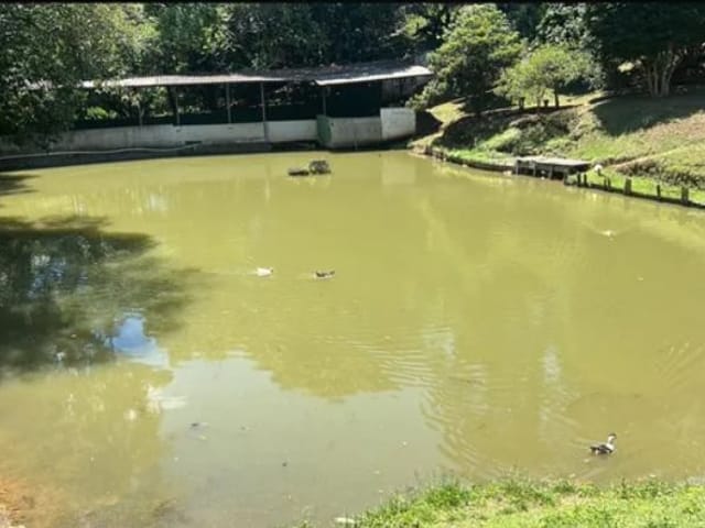 Chácara com 3000m² 1 quarto e 2 banheiros, à venda, no bairro Suru em Santana de Parnaíba