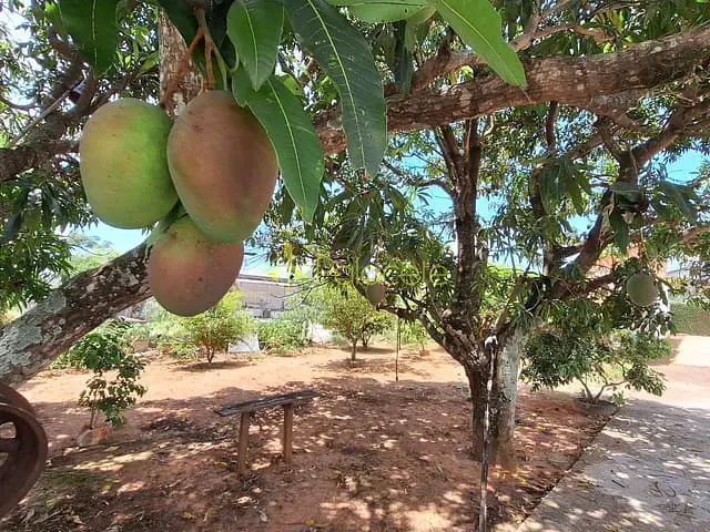 Chácara com 1000m² 2 quartos e 1 banheiro, à venda, no bairro Centro em Taubaté