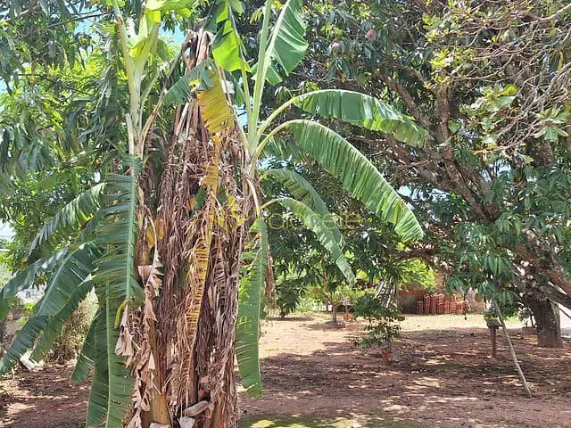 Chácara com 1000m² 2 quartos e 1 banheiro, à venda, no bairro Centro em Taubaté