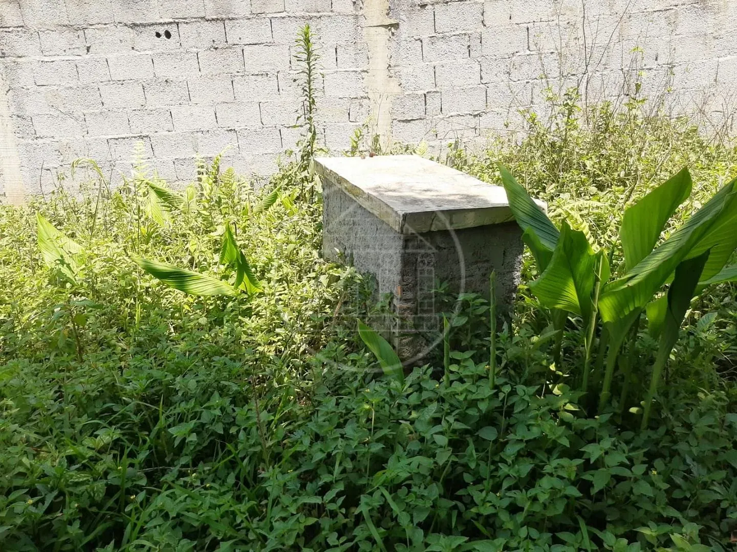 Sítio, 2 quartos, 1000 m² - Foto 23