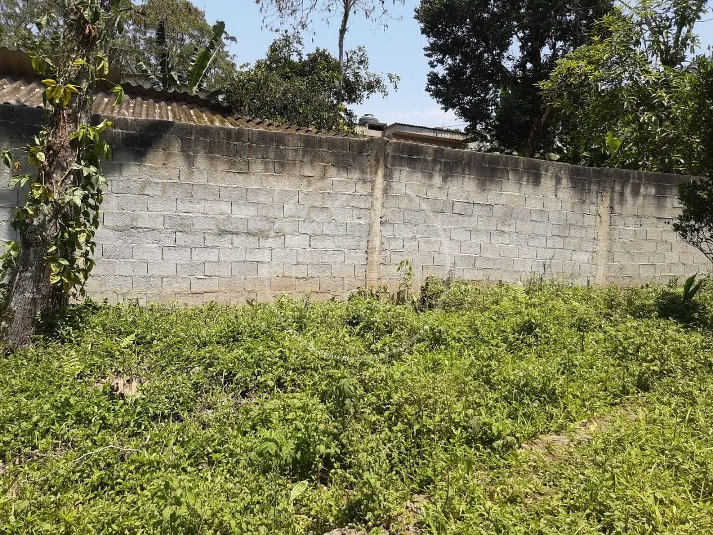 Sítio, 2 quartos, 1000 m² - Foto 15