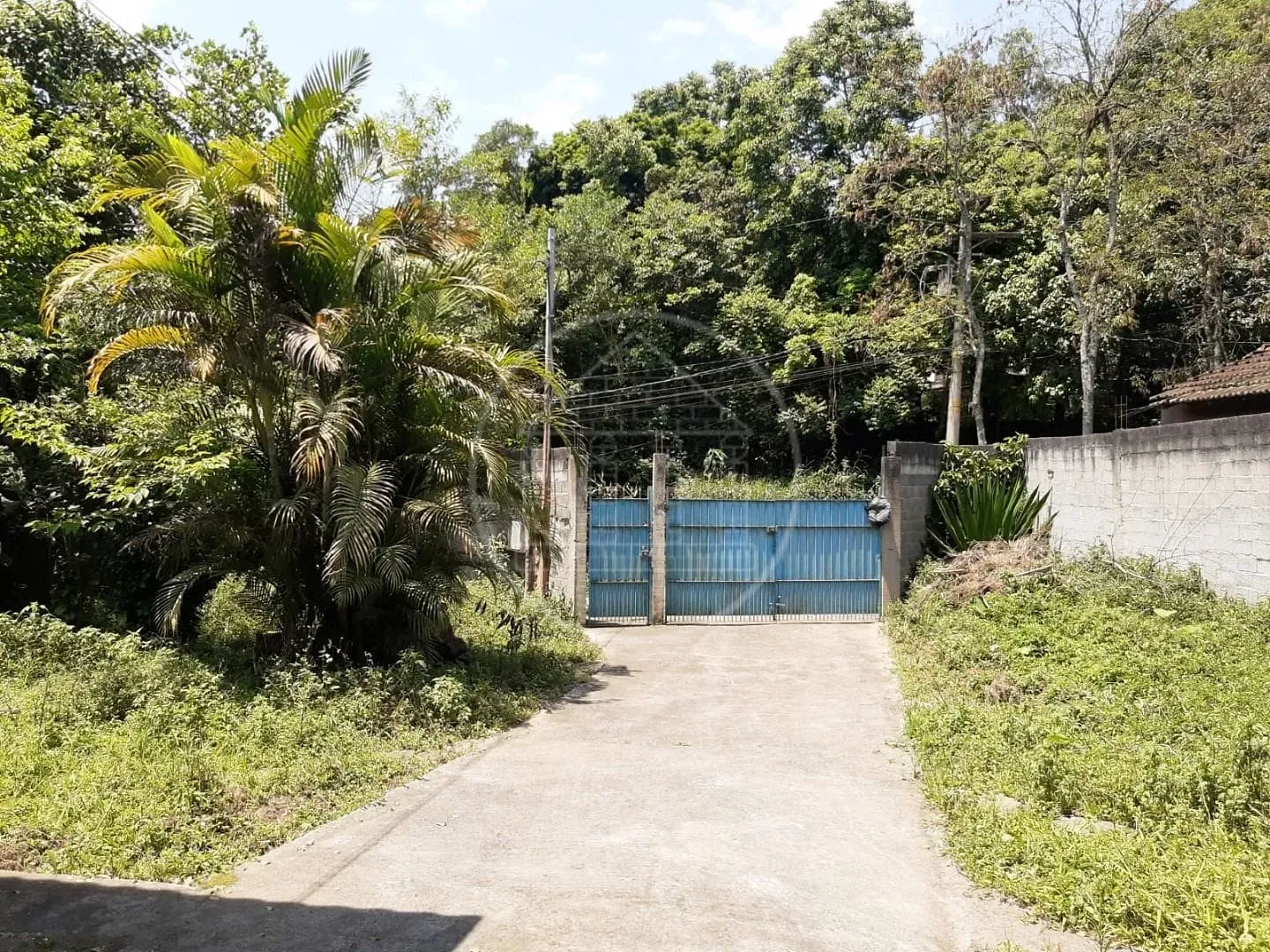 Sítio, 2 quartos, 1000 m² - Foto 13