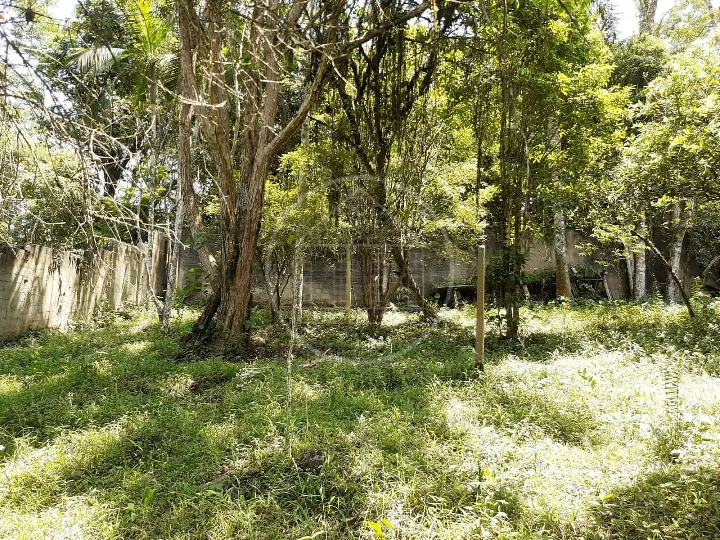 Sítio, 2 quartos, 1000 m² - Foto 30