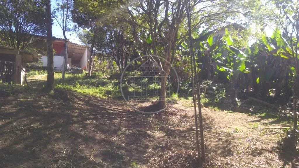 Sítio, 3 quartos, 600 m² - Foto 4