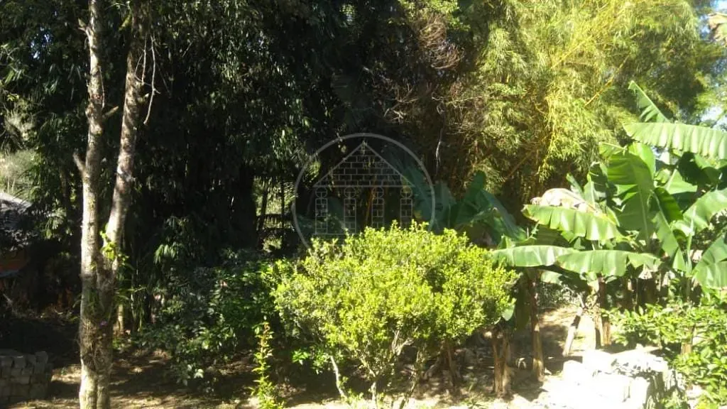 Sítio, 3 quartos, 600 m² - Foto 5