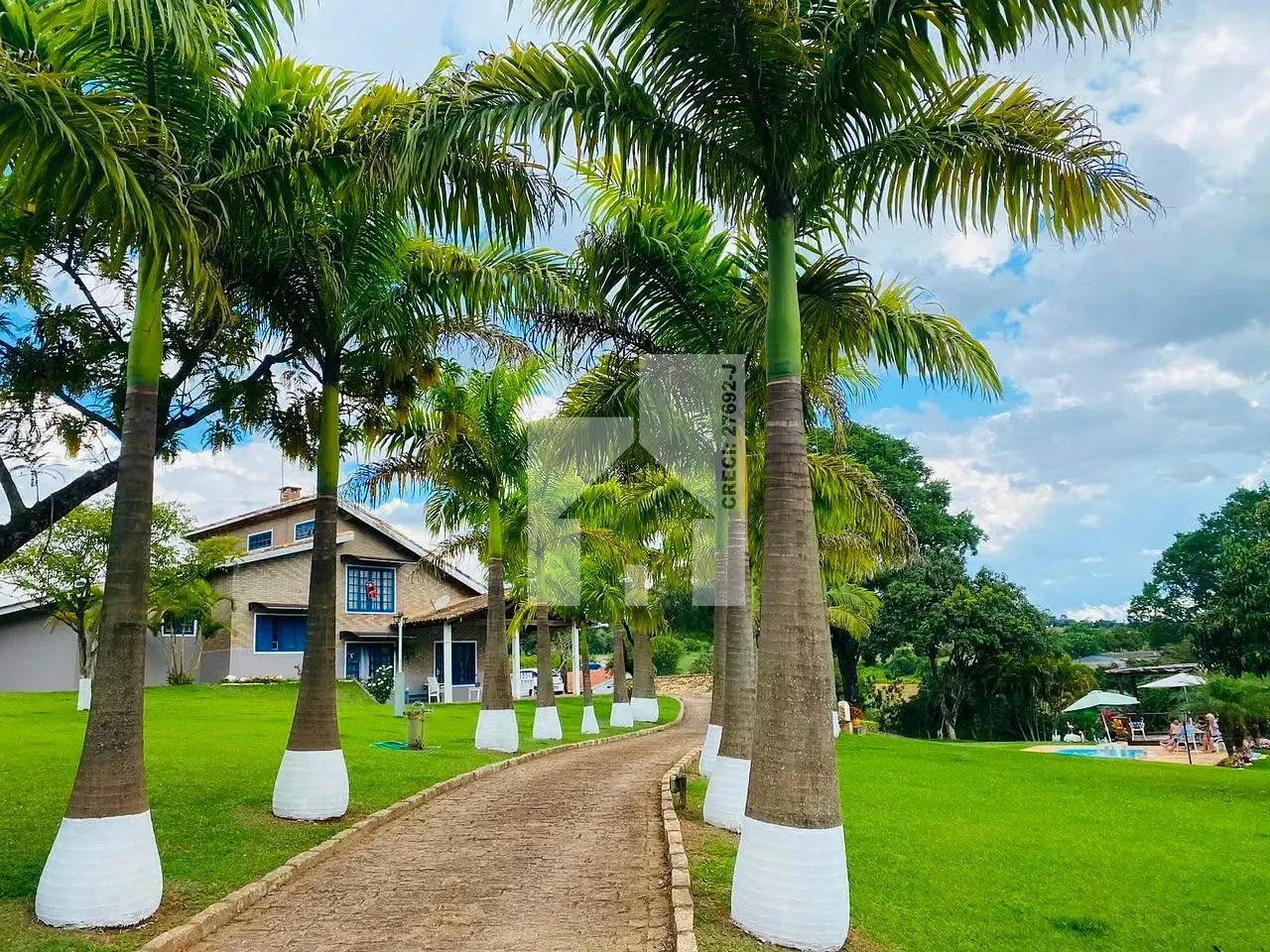 Foto 1