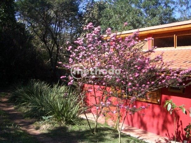 Chácara, 1 quarto, 4000 m² - Foto 4