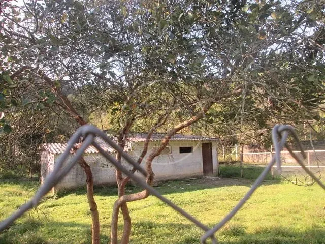 Sítio, 2 quartos, 12 hectares - Foto 10