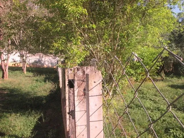 Sítio, 2 quartos, 12 hectares - Foto 6
